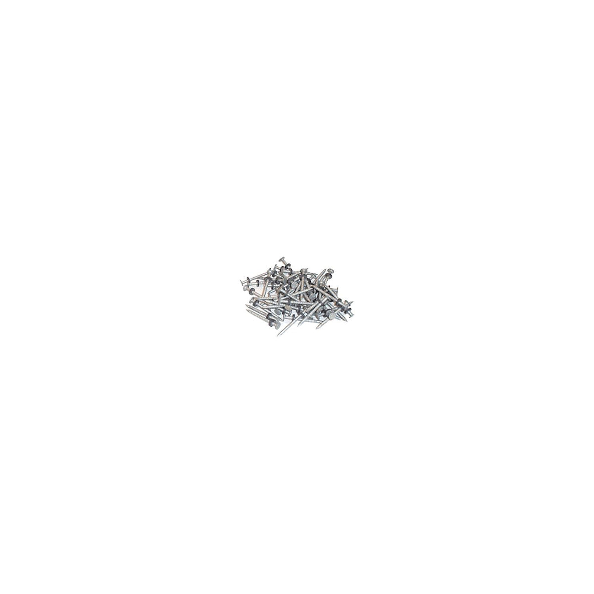 Taylor 96028 Galvanized #6 Nails w/Washers 1/8# 12/Cd-Supply Nautica