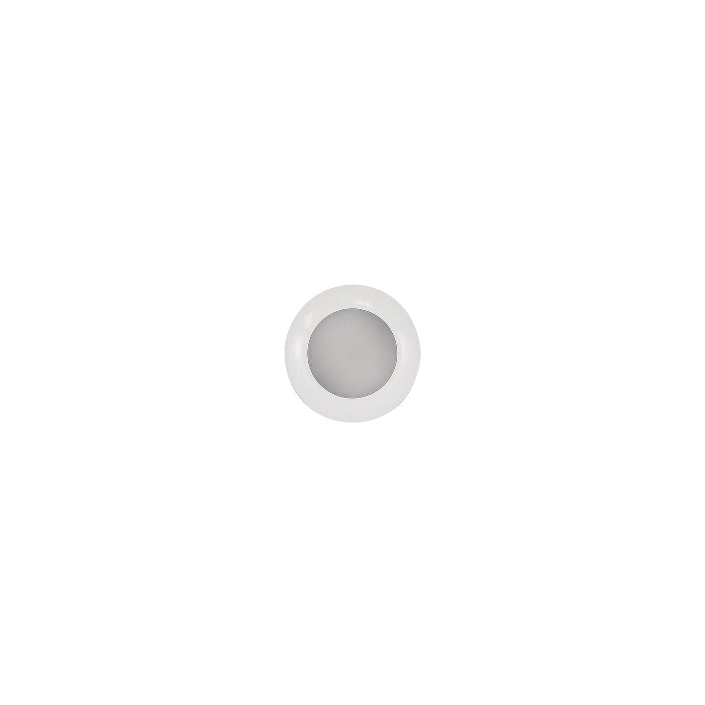 Scandvik 41672P S3 Surface Mount LED Downlight w/White Bezel, Cool White / Blue