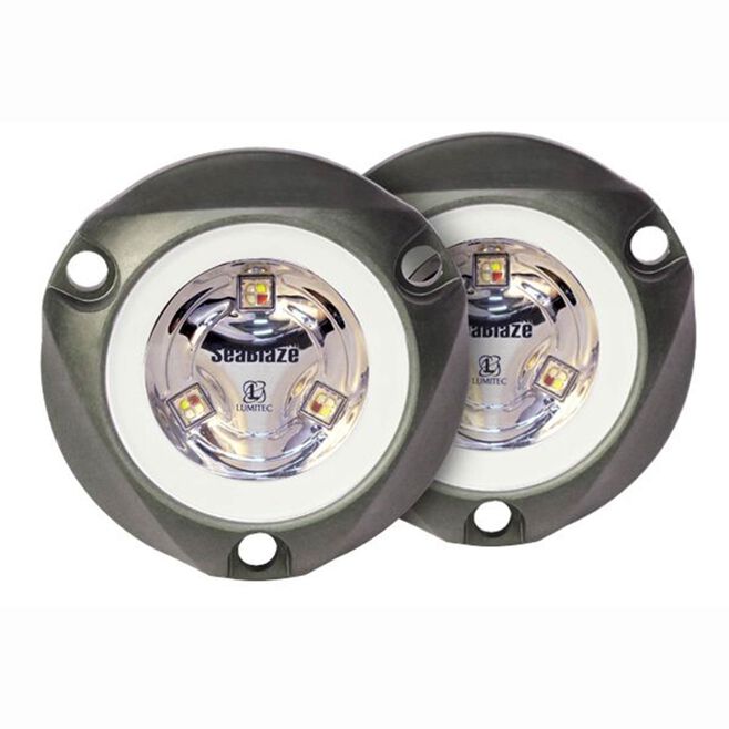 LUMITEC LIGHTING SeaBlaze Mini LED Underwater Light, 890 Lumen