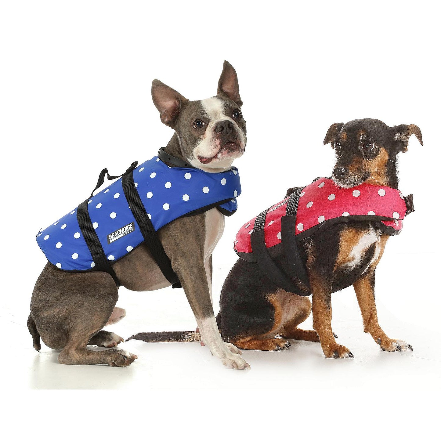 Seachoice 86280 Dog Life Vest - Blue Polka Dot, Sm