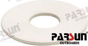 Washer, Nylon PAF25-02000019