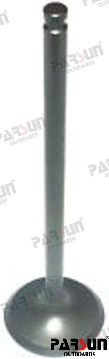 Valve, Intake PAF25-05050001