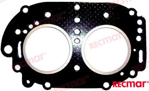 Gasket REC677-11181-A0