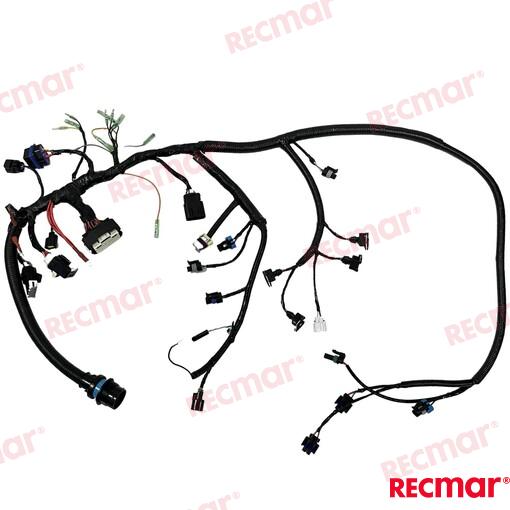 Engines Main Harness 40/50/60Hp REC8M0044999
