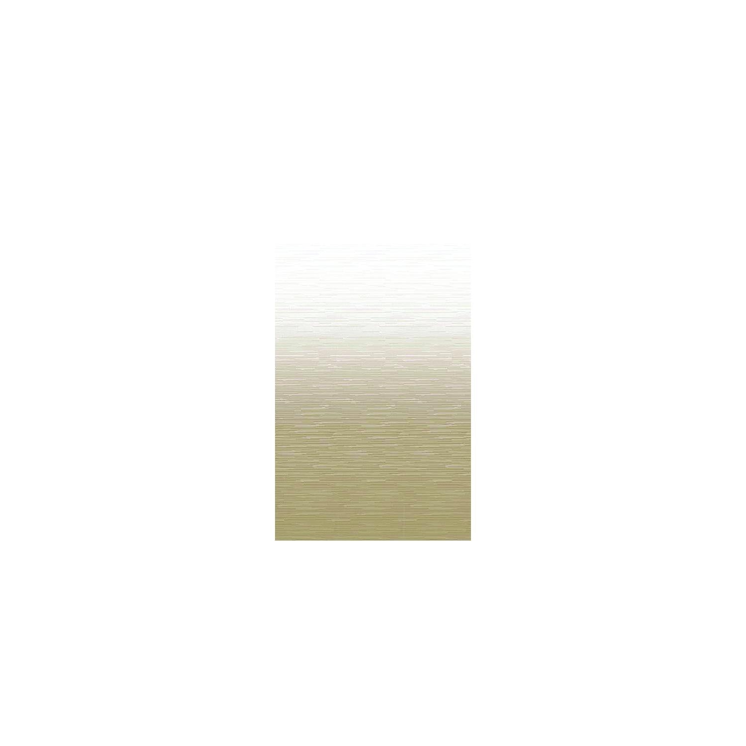 Carefree JU186B00 1-Piece Standard Vinyl Awning Replacement Fabric, 18', Camel Fade on Top Side, White Weatherguard