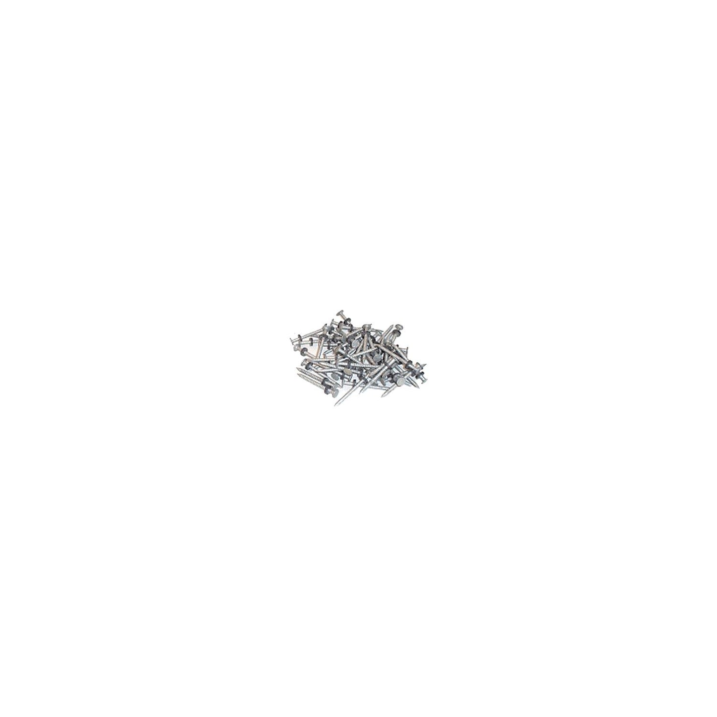 Taylor 96028 Galvanized #6 Nails w/Washers 1/8# 12/Cd-Supply Nautica