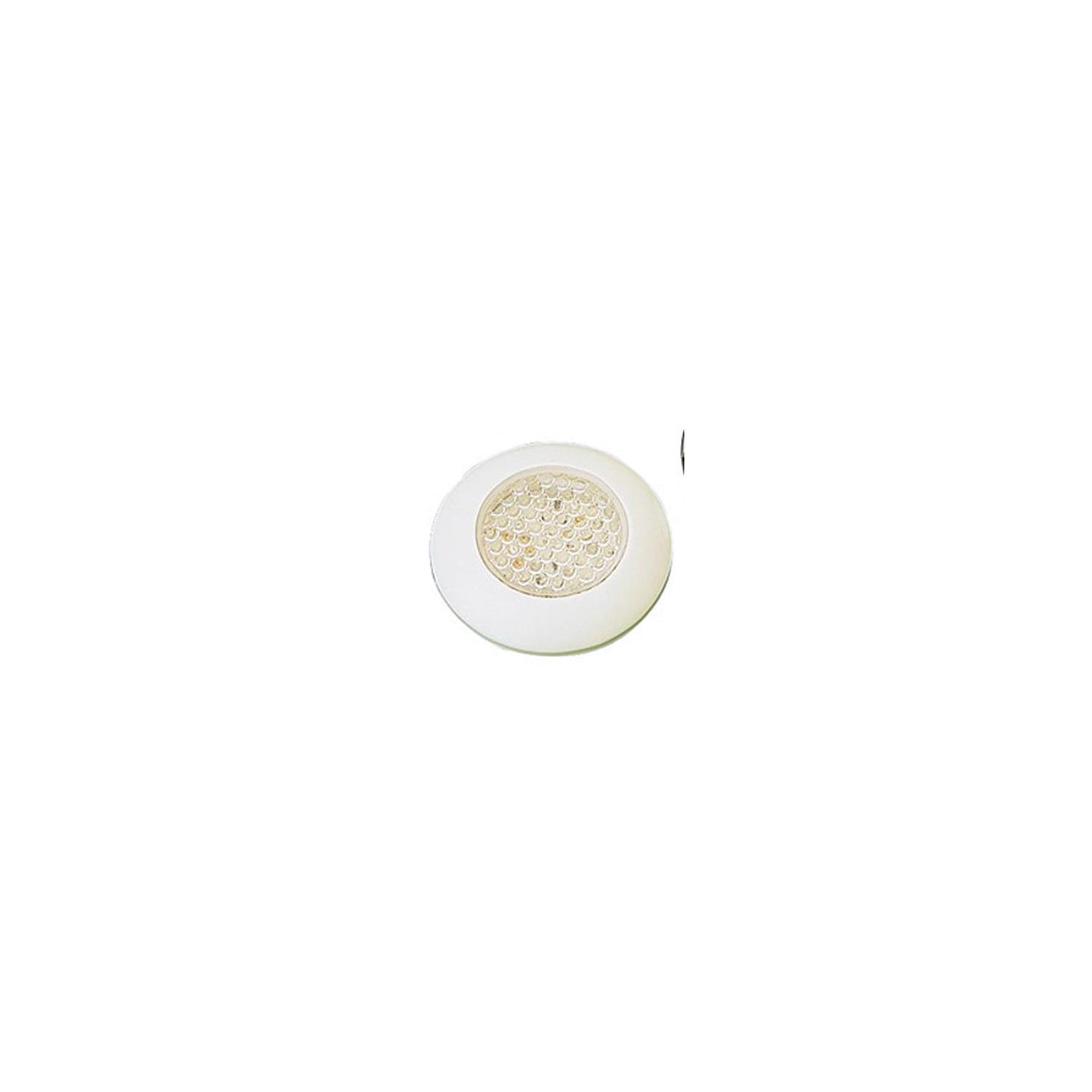 SeaDog 4016271 White Plastic Housing w/White LEDs, 8 Lumens Courtesy Light