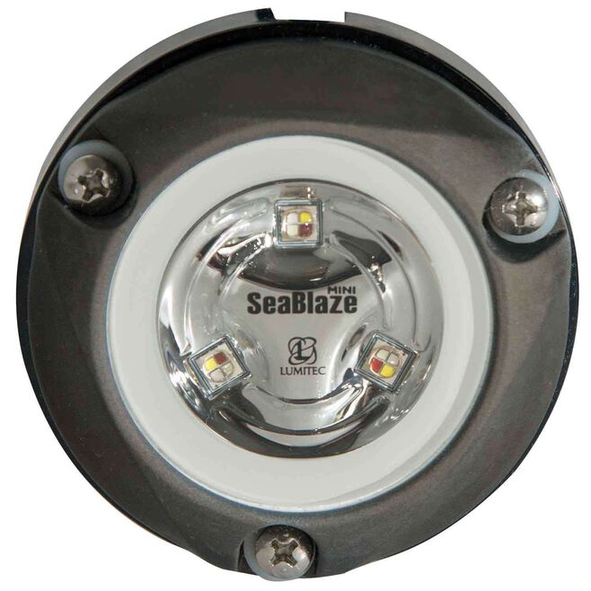 LUMITEC LIGHTING Zambezi Mini Surface Mount Underwater Light, 890 Lumen