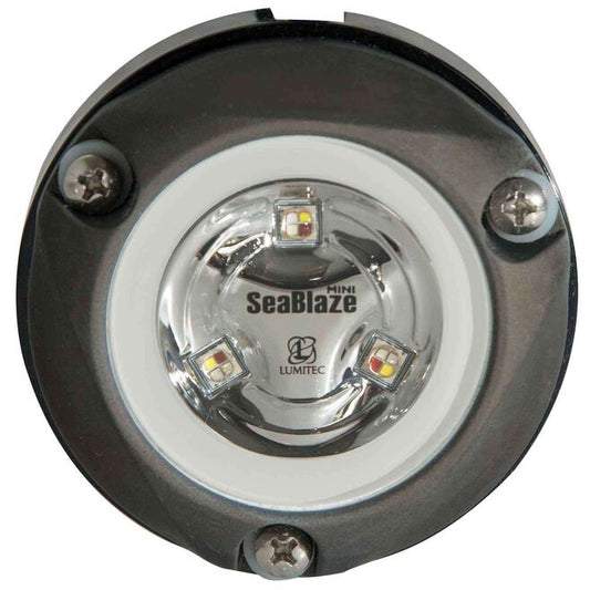 LUMITEC LIGHTING Zambezi Mini Surface Mount Underwater Light, 890 Lumen