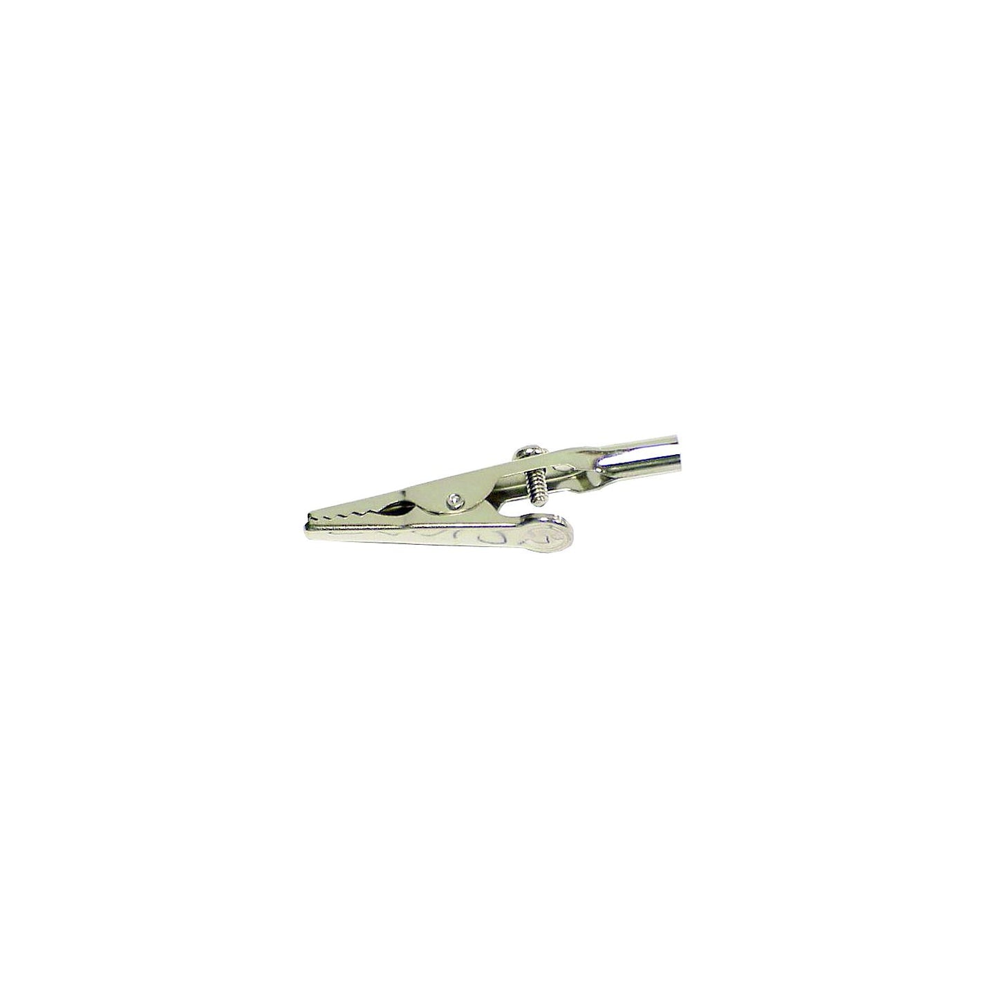 Alligator Clip 2" w/Term 2/Pk