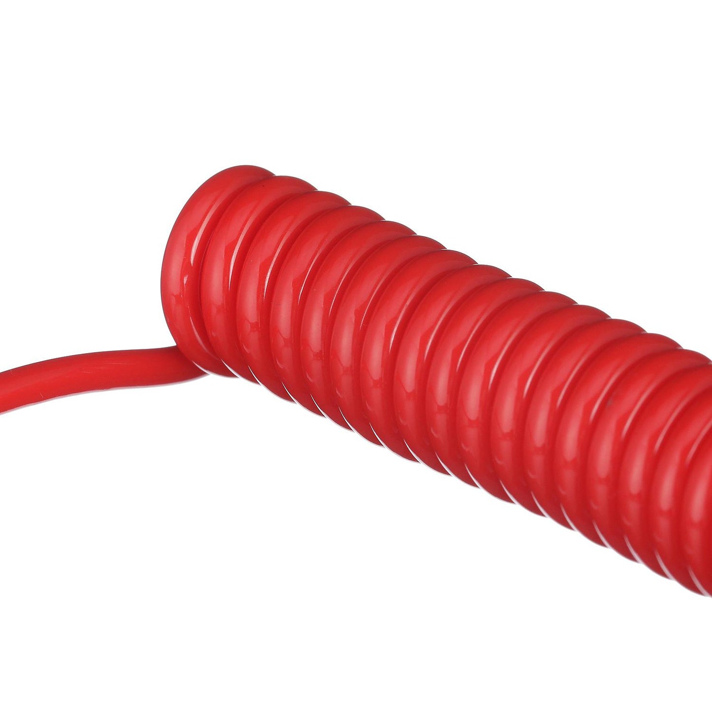 Seachoice Replacement Lanyard With 7 Key For Kill Switch