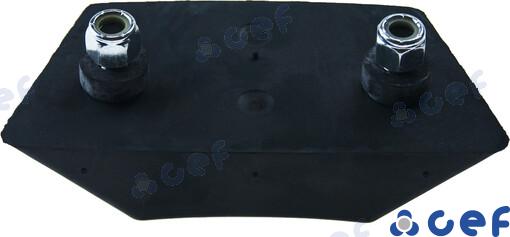 Rubber Cushion