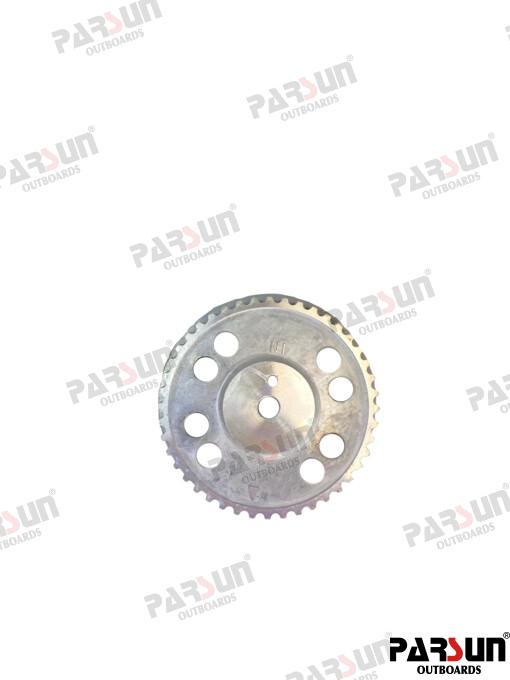 Driven Wheel APAF115-05030021
