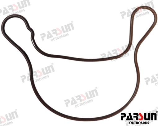 Seal RingPAF115-05080004