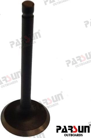 Valve, Intake PAF15-07040001