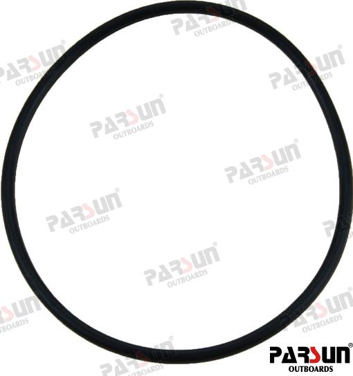 O-RingPAF20-04060002E
