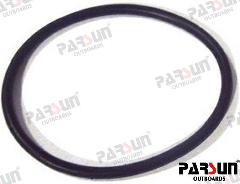 O-Ring C PAF25-05050015