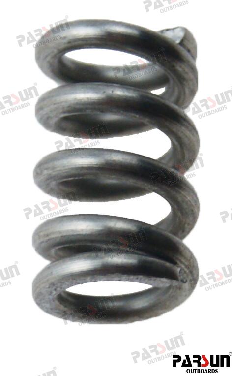 SpringPAF6-04060007
