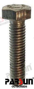 Bolt M6X25 PAF8-05000022