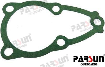 Gasket  Water Pump Seat PAT5-03000005