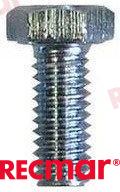 Screw REC10-28668