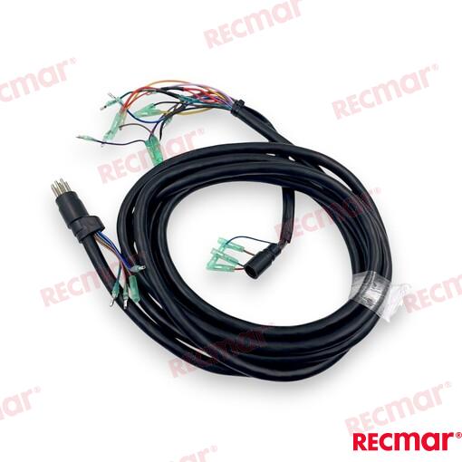 Extension  A15/5 REC17179T1