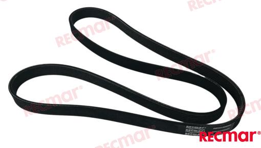Compressor Belt