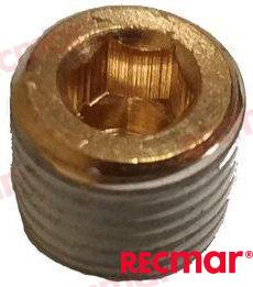 Plug REC22-73379