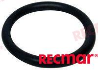 O-Ring REC25-30613