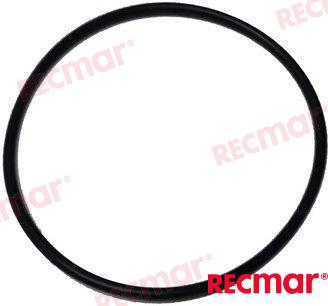O-Ring REC25-67202