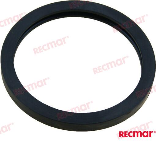 Seal Thermostat REC25-8071341