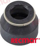 Shift Shaft Seal