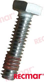 Screw REC302325