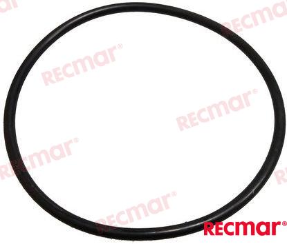 O-Ring REC308876