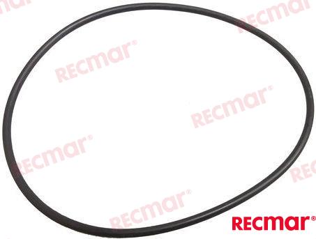 O-Ring REC313175