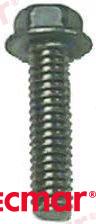 Screw REC324334