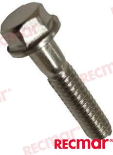 Screw REC331979