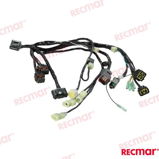 Harness Assy Bcm No.1 Sngl