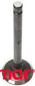 Exhaust Valve 5.0 REC3853731