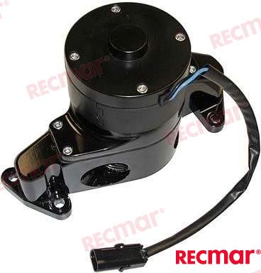 Oil Pump 5.0 Ford REC3853909