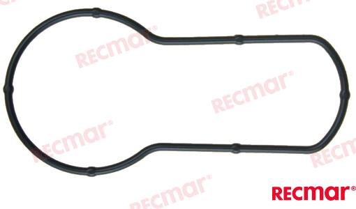 Ring Gear Case Seal
