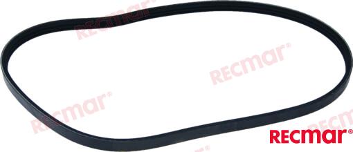 Serpentine Belt REC57-879194425