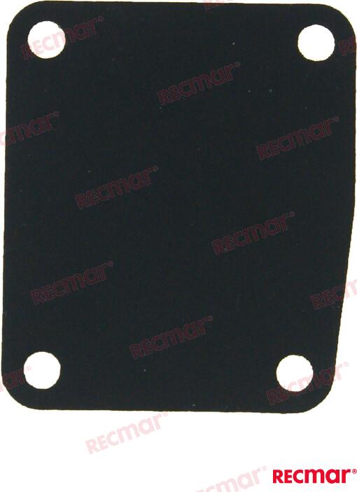 Membrane FuelpumpREC63V-24411-00
