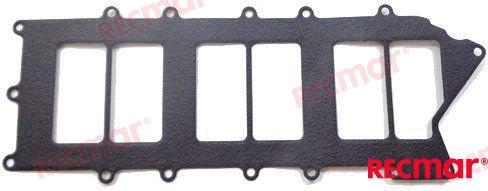 Intake GasketREC65L-13646-00