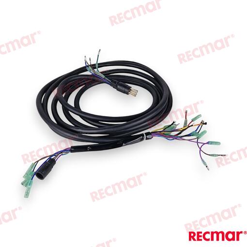 Extension 10Pins Wire Harness (6M)REC688-8258A-60