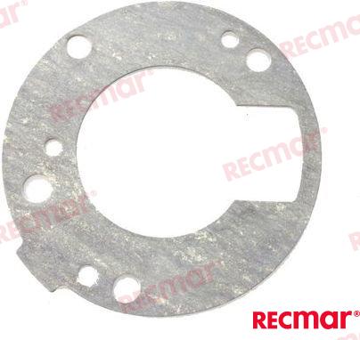 Pump Gasket REC689-44315-A0