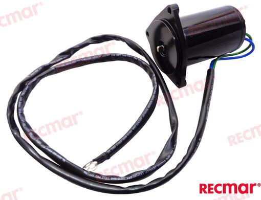 Tilt Trim MotorREC6H1-43880-02
