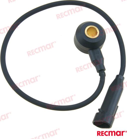 Sensor Knock REC8M6003194