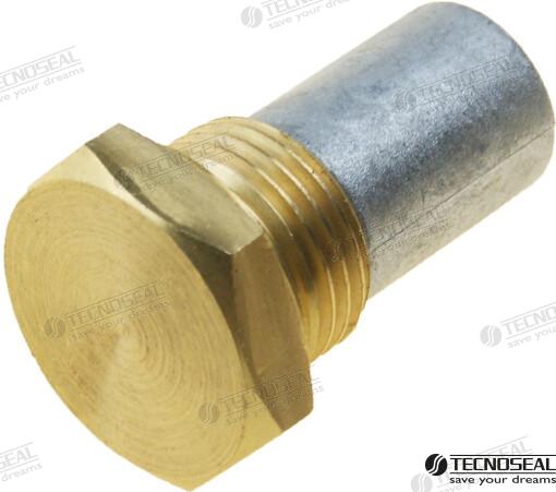 Anode 15*20 M8*L9 W/Cap TEN01320T
